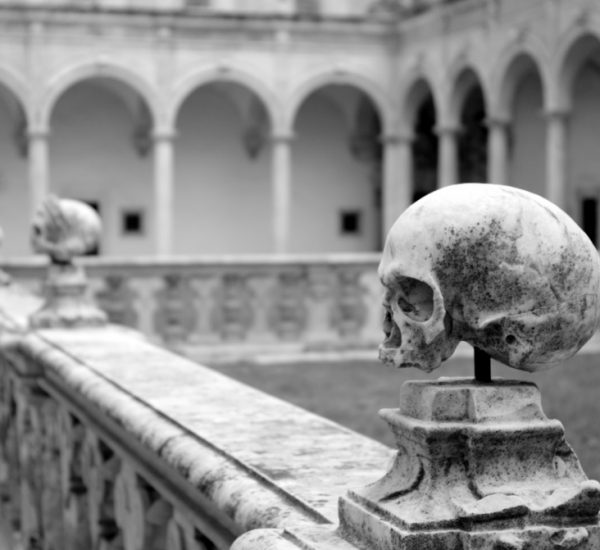 Arte e Turismo :: L'Escargot, slow art